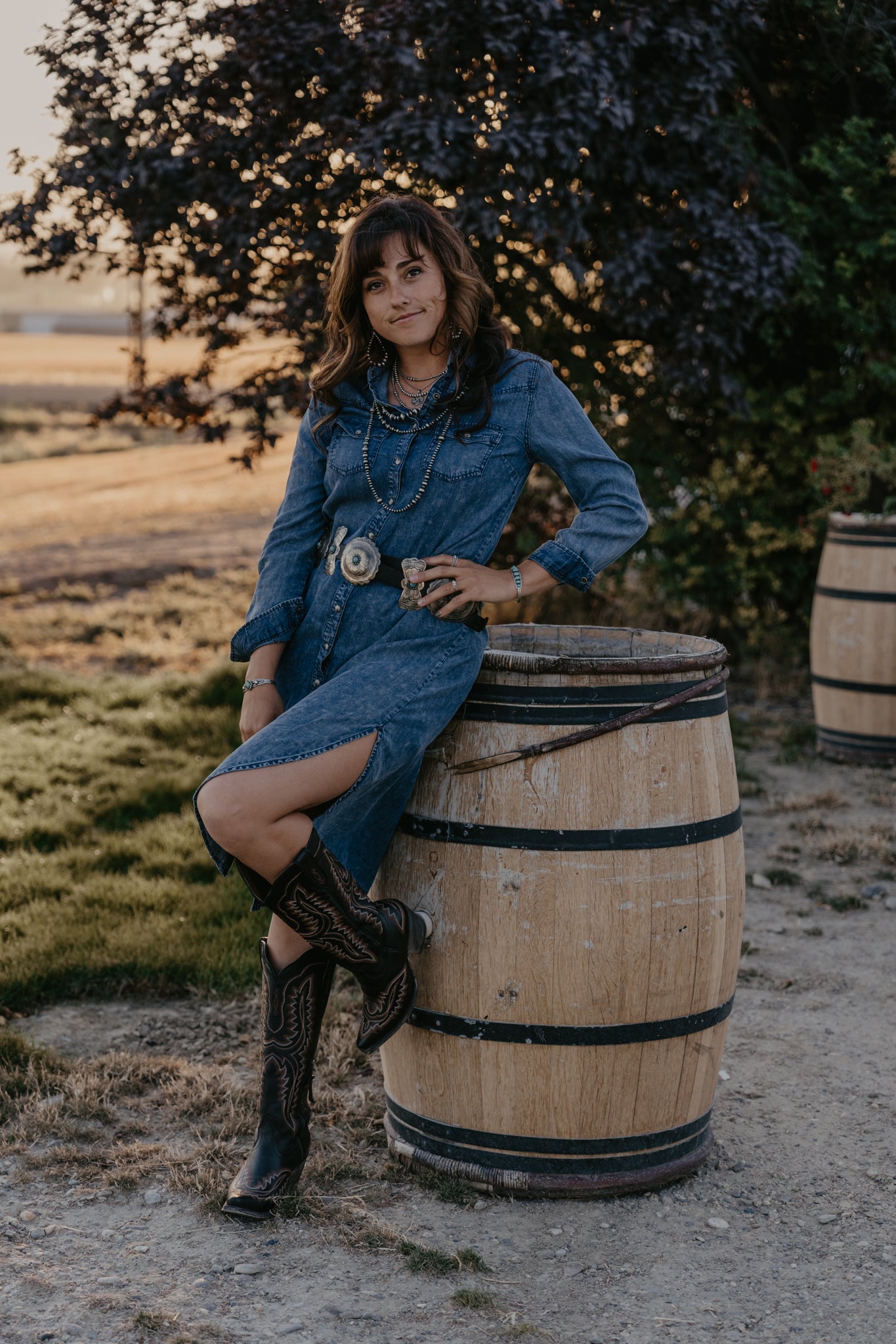 Drover Denim Dress