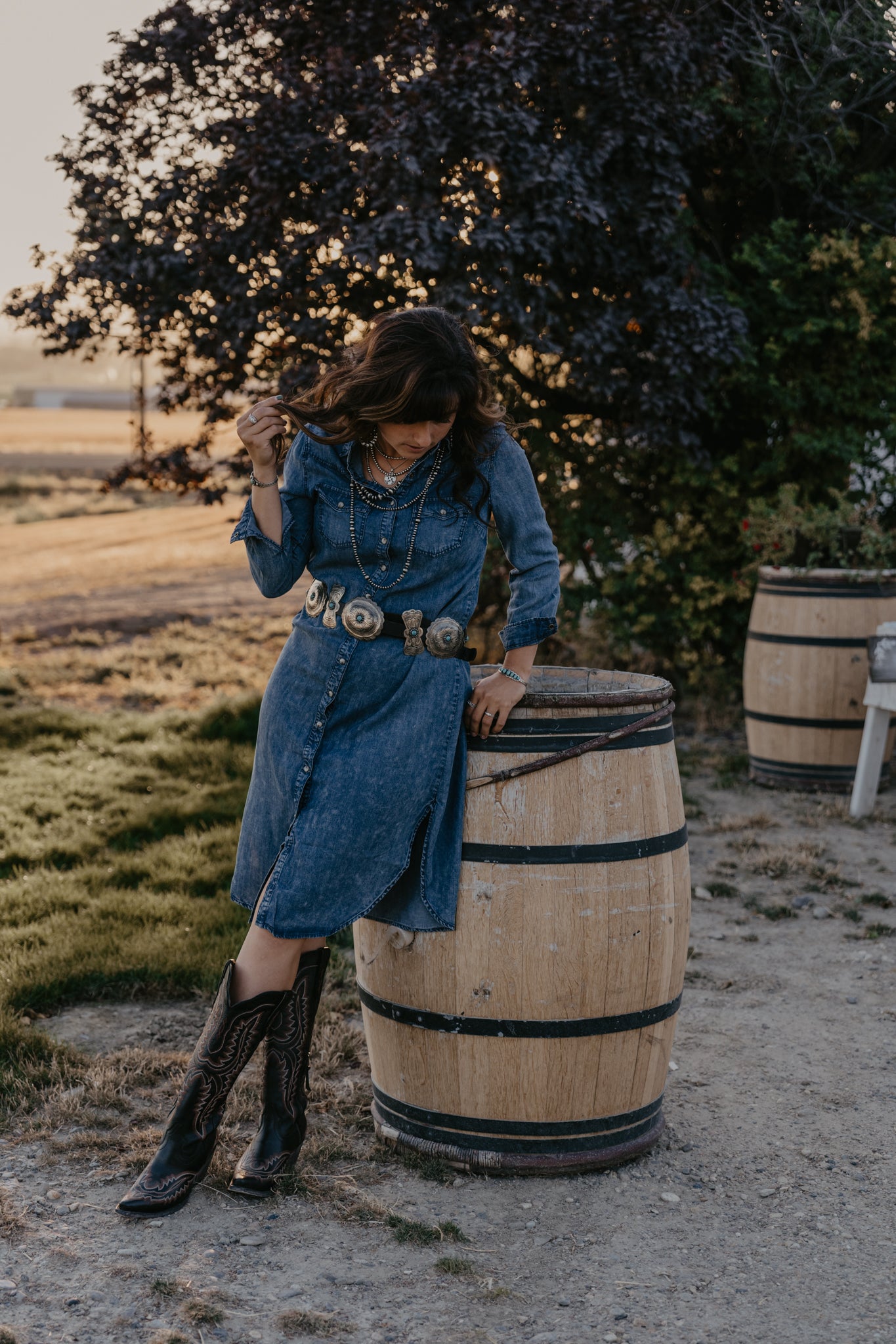 Drover Denim Dress