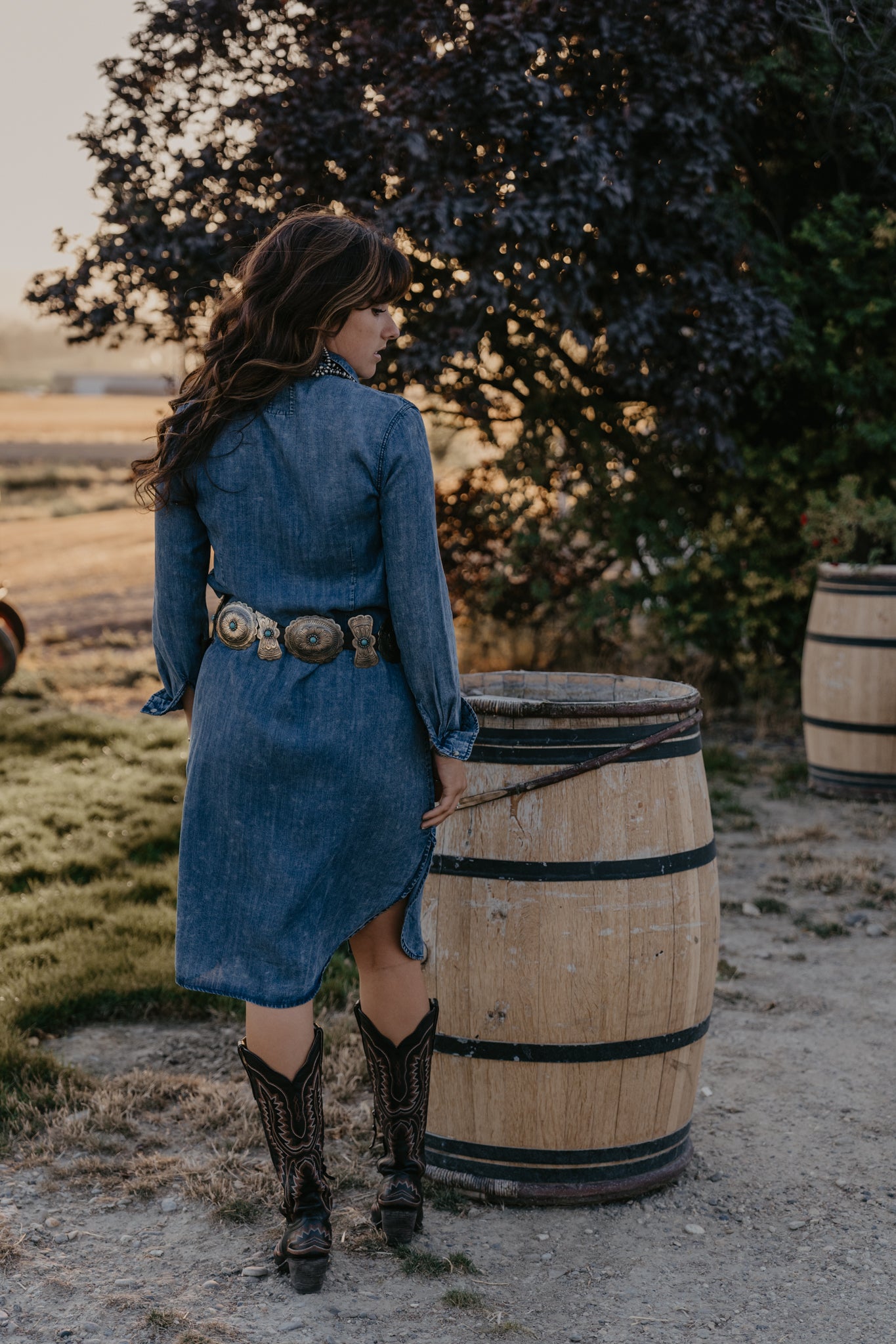 Drover Denim Dress