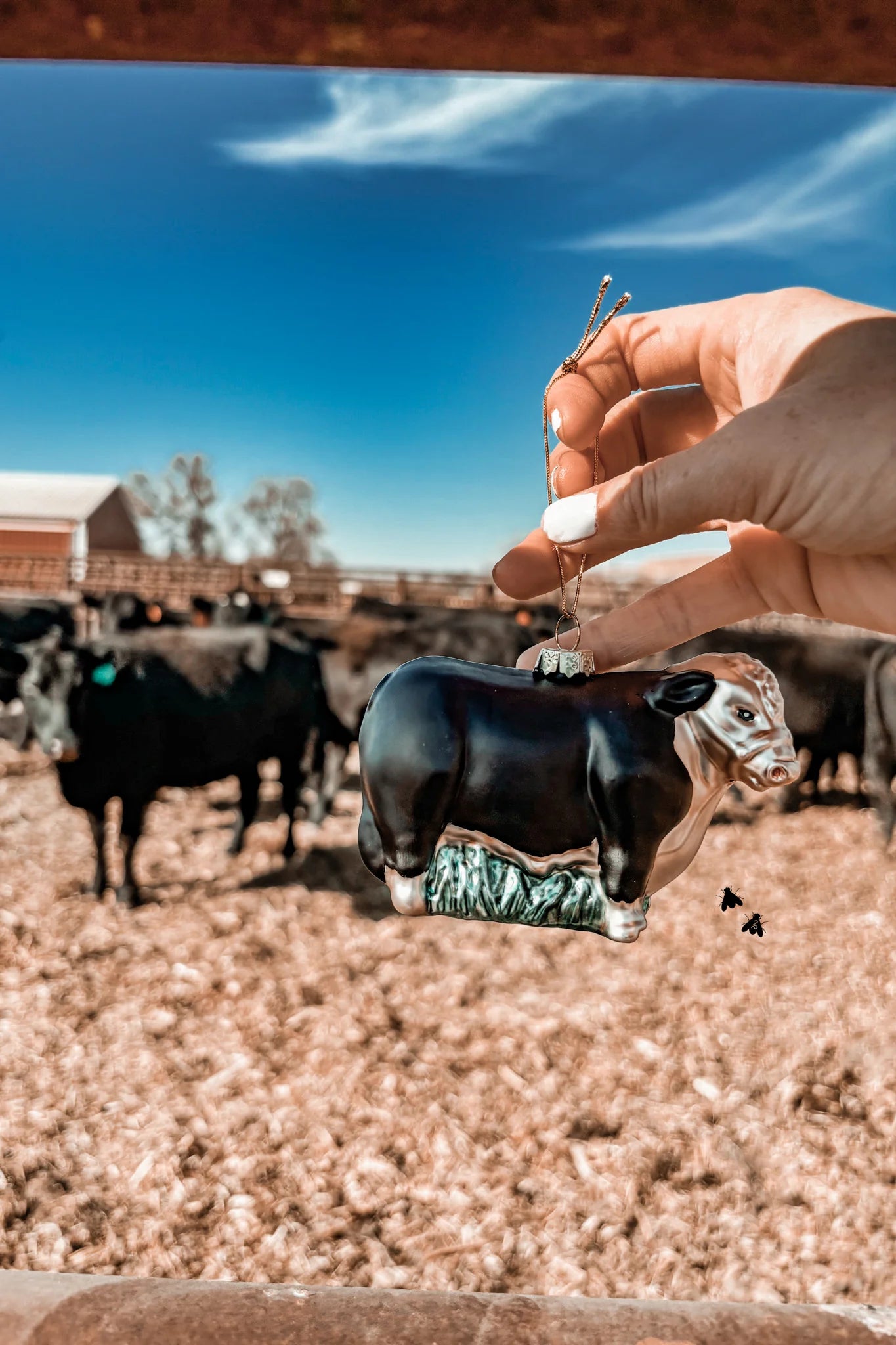 Fly Herd Baldie Christmas Ornament