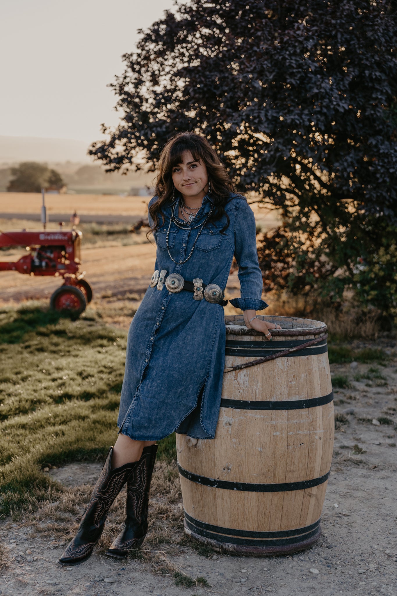 Drover Denim Dress