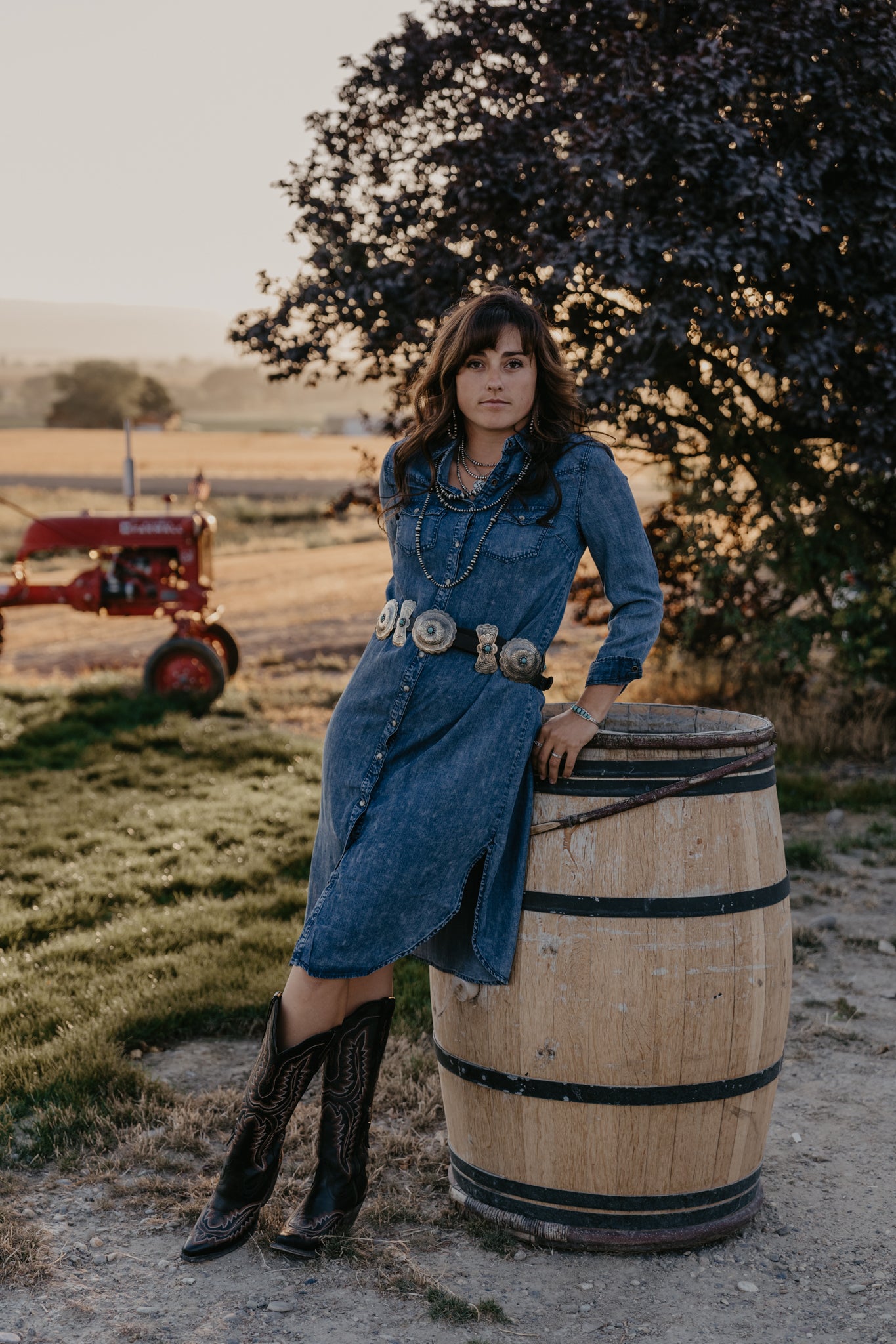 Drover Denim Dress